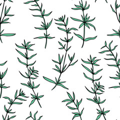 Seamless herbal pattern Savory hand drawn vector botanical illustration, health medical plants and herbs isolated on white background, texture spices for design kitchen, menu, natural organic product