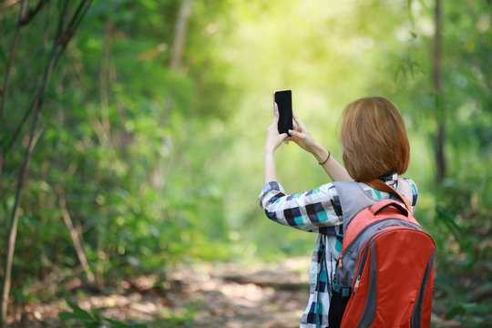 tourism carry back pack and using cell phone in the forest