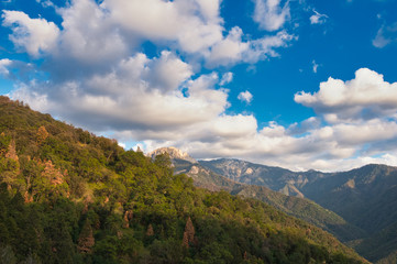 Sequoia & Kings Canyon National Parks 