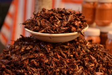 Chapulines