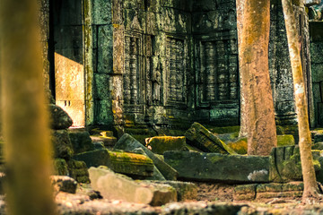 green moss in the stones in angkor wat ruins - obrazy, fototapety, plakaty