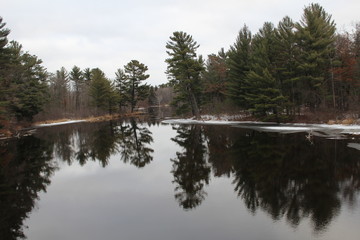 Fototapeta premium Majestic Reflection of Trees in River