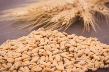 Gordijnen Heap of rye or wheat grains and ears of cereal in background. Vintage photo © ratmaner