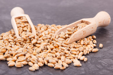 Rye or wheat grains and wooden scoop, concept ot rural and agriculture