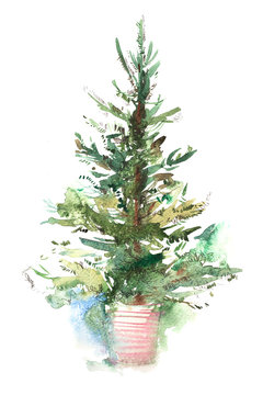 Decorated christmas tree New year Watercolor illustration Water color drawing