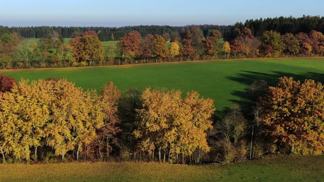Landscape with autumnal colored trees