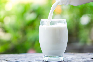 パンと牛乳の栄養素はどんな関係？
