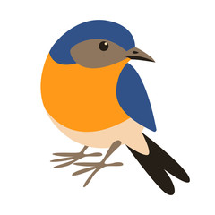 eastern bluebird,flat style, front
