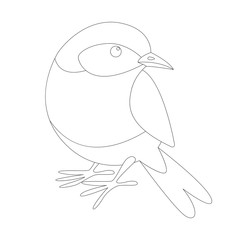 eastern bluebird, lining draw , front