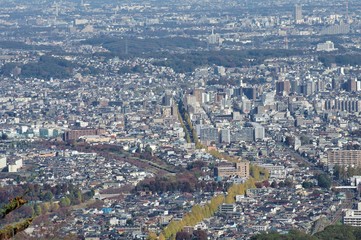 高尾山から見下ろす街並み