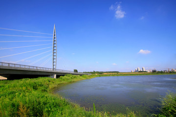 bridge lasso bracket