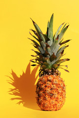 Still life of pineapple placed on a yellow background