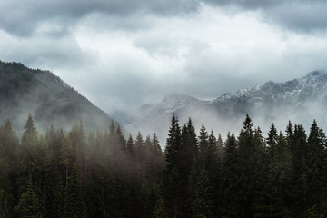 Mist hovering over the trees with snow covered mountain ridge in the back