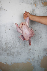Raw chicken in female hand