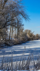 Smartphone HD wallpaper of beautiful winter view near Thundorf - Bavaria - Germany