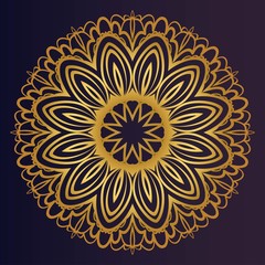 Vector with Mandala pattern. Repeating sample figure and line. Modern Decorative floral color mandala.