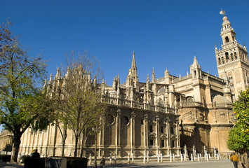 Fototapeta na wymiar the beautiful Gothic Cathedral of Seville