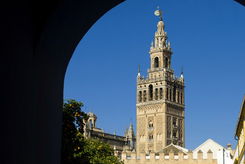 Fototapeta na wymiar cathedral in seville spain