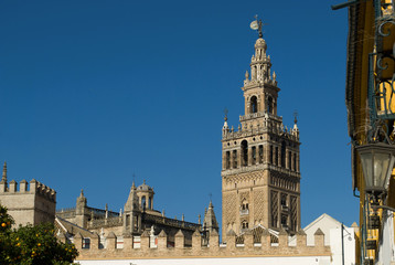 Fototapeta na wymiar the stupendous bell tower of the Gothic Cathedral of Seville, Spain