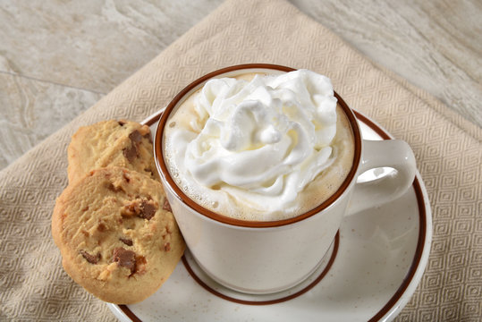 Cup Of Hot Chocolate With Whipped Cream And Cookies