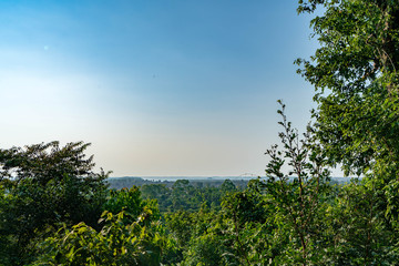 Obraz premium 東南アジアの森