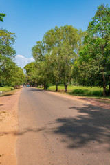 東南アジアの田園風景
