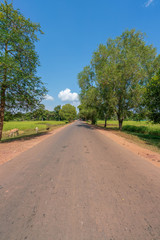 Fototapeta premium 東南アジアの田園風景
