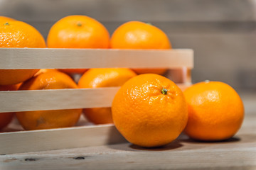 Mandarinen im Steigerl