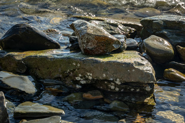 Sea stones and rocks of different sizes and texsture of black, gray and brown on the Black Sea coast as nature bacground. Excellent concept for any design