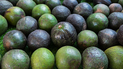 Lots of green avocados