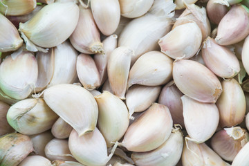 Fresh garlic cloves and bulb texture background.