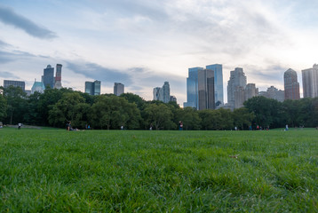 Fototapeta na wymiar Skyscrapers from Central Park