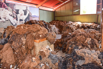 Arequipa, Peru - October 7, 2018: Piles of raw alpaca wool awaiting processing for use in the...