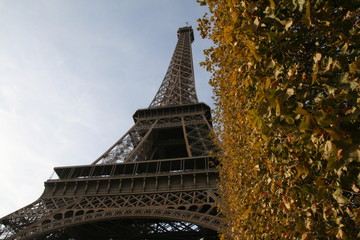 Highlights from Paris - 234037305