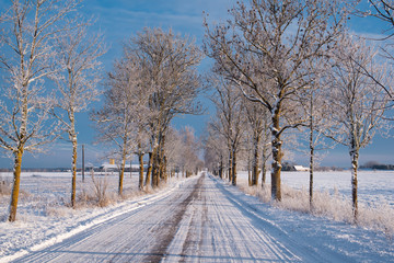 Winter Road