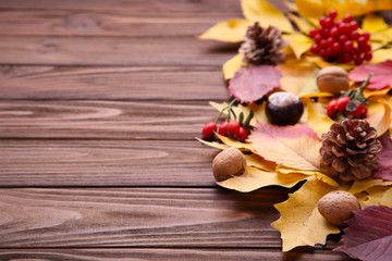Autumn leaves with berries on a brown background