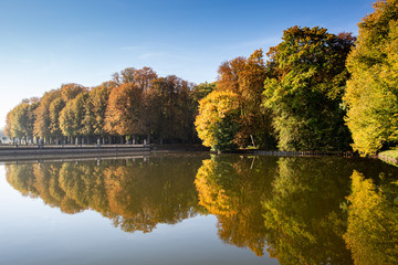 Bäume im Herbst