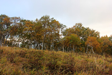 mountain natural scenery
