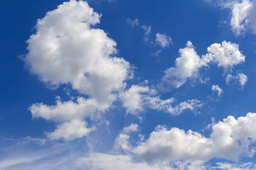 Naklejka na ściany i meble white clouds against a blue sky