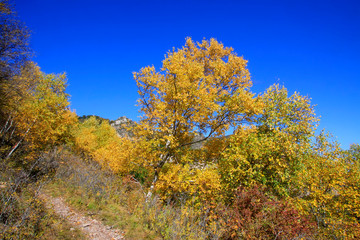 Fototapeta premium mountain natural scenery