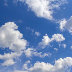 Naklejka na ściany i meble white clouds against a blue sky