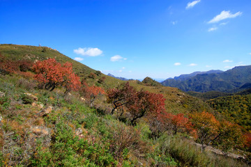 mountain natural scenery