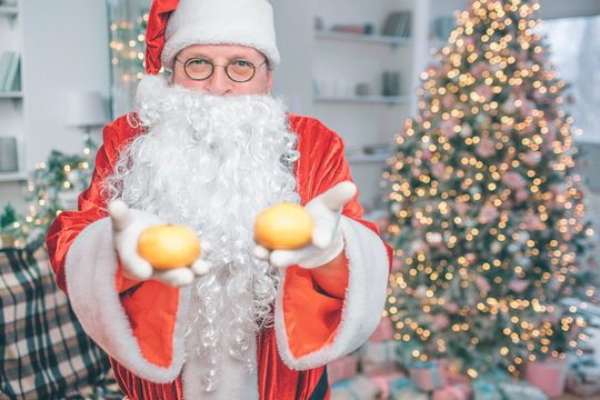 Picture of Santa Claus stands and looks on camera. He holds two mandarines. Man is positive.