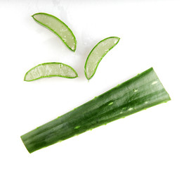 Aloe Vera Plant Isolated On White Background
