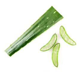 Aloe Vera Plant Isolated On White Background