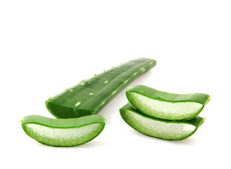 Aloe Vera Plant Isolated On White Background