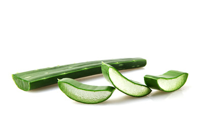 Aloe Vera Plant Isolated On White Background