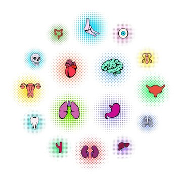 Organs Icons Set in pop art style isolated on white background