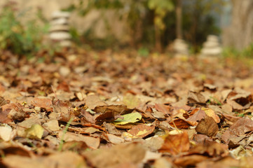 Dry fallen leaves in the autumn garden and stone pyramids in the distance