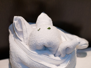 Pliage serviette &eacute;ponge